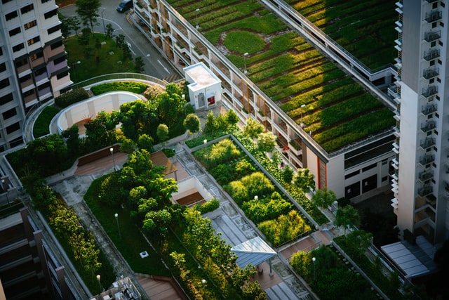 Green infrastructures recognising and planning